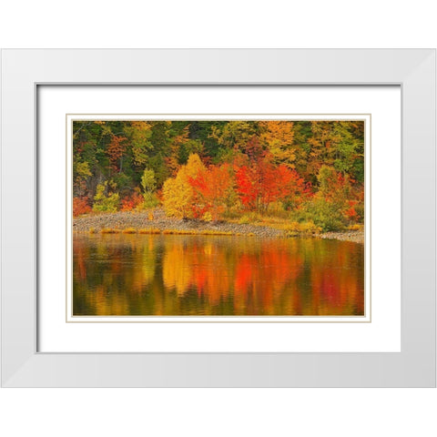 Canada-Nova Scotia Indian Brook and forest in autumn White Modern Wood Framed Art Print with Double Matting by Jaynes Gallery