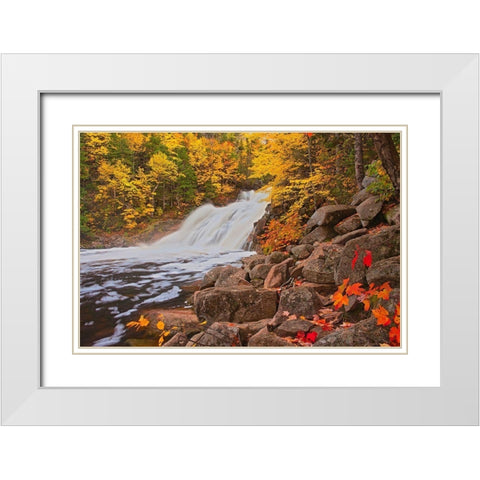 Canada-Nova Scotia Mary-Anne Falls and forest in autumn foliage White Modern Wood Framed Art Print with Double Matting by Jaynes Gallery