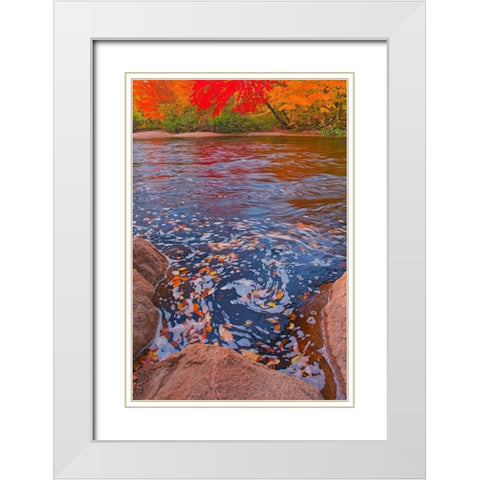Canada-Nova Scotia-Cape Breton Island North Aspy River and forest in autumn White Modern Wood Framed Art Print with Double Matting by Jaynes Gallery
