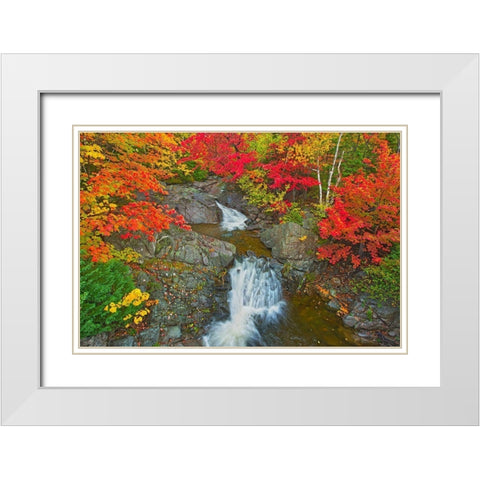 Canada-Nova Scotia-Cape Breton Island Morrison Brook and forest in autumn foliage White Modern Wood Framed Art Print with Double Matting by Jaynes Gallery