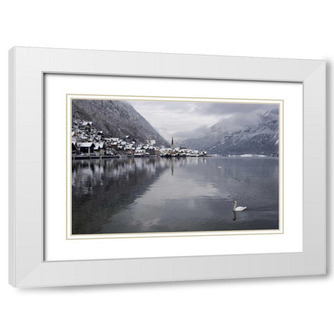 Austria, Hallstatt Swan on Lake Hallstatt White Modern Wood Framed Art Print with Double Matting by Young, Bill