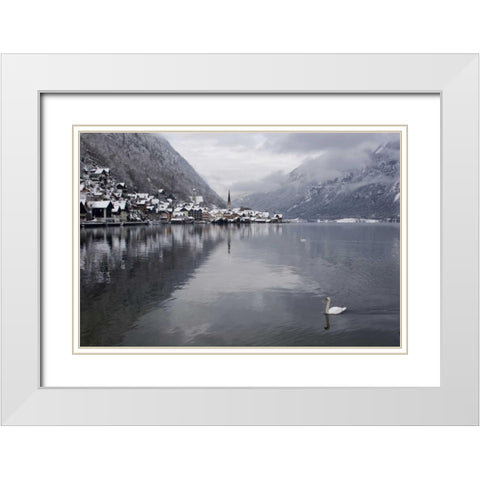Austria, Hallstatt Swan on Lake Hallstatt White Modern Wood Framed Art Print with Double Matting by Young, Bill