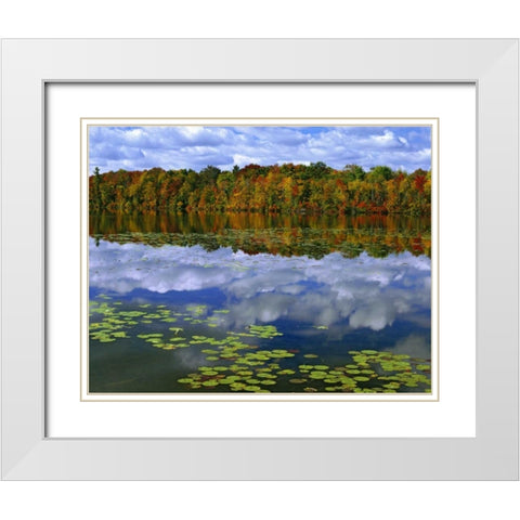 Canada, Ontario Park Haven Lake in autumn White Modern Wood Framed Art Print with Double Matting by Flaherty, Dennis