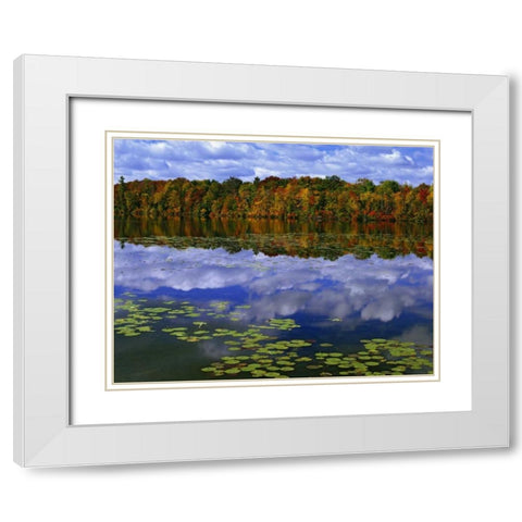 Canada, Ontario Autumn around Park Haven Lake White Modern Wood Framed Art Print with Double Matting by Flaherty, Dennis