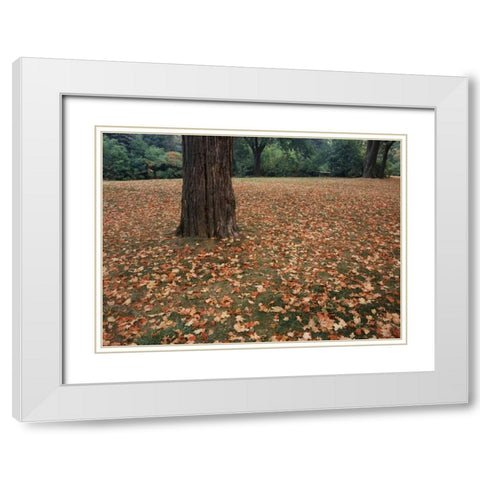 Canada, Ontario, Kitchener, Urban Park White Modern Wood Framed Art Print with Double Matting by Grandmaison, Mike
