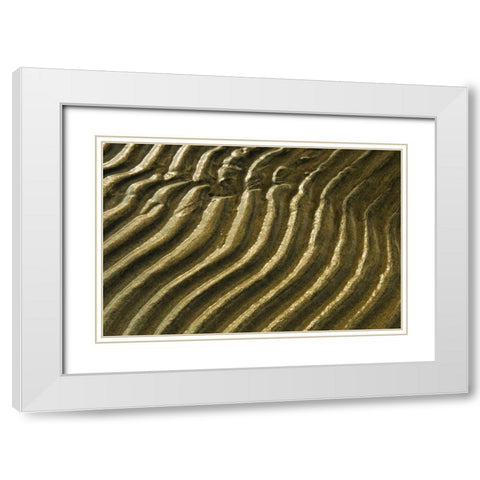 Canada, Ontario Ripples in sand of Georgian Bay White Modern Wood Framed Art Print with Double Matting by Grandmaison, Mike