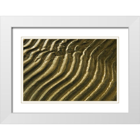 Canada, Ontario Ripples in sand of Georgian Bay White Modern Wood Framed Art Print with Double Matting by Grandmaison, Mike