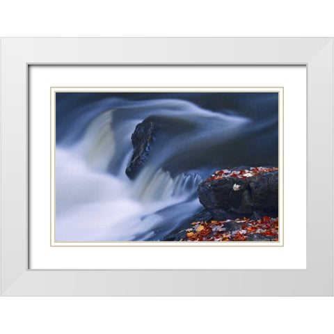 Canada, Emsdale Maple leaves by Magnetewan River White Modern Wood Framed Art Print with Double Matting by Grandmaison, Mike