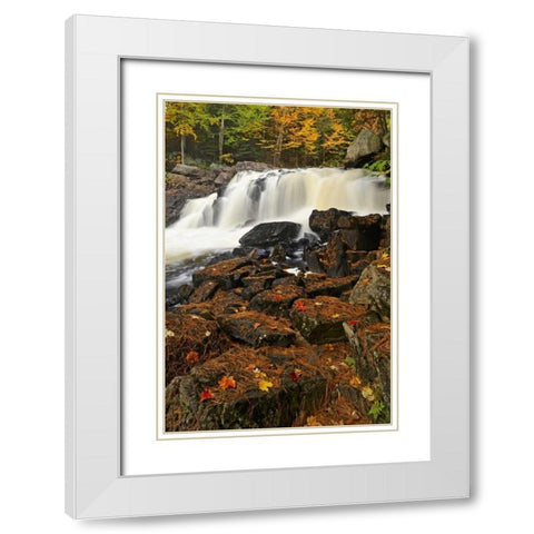 Canada, Emsdale Maple leaves by Magnetewan River White Modern Wood Framed Art Print with Double Matting by Grandmaison, Mike