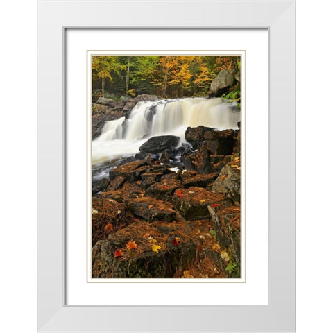 Canada, Emsdale Maple leaves by Magnetewan River White Modern Wood Framed Art Print with Double Matting by Grandmaison, Mike