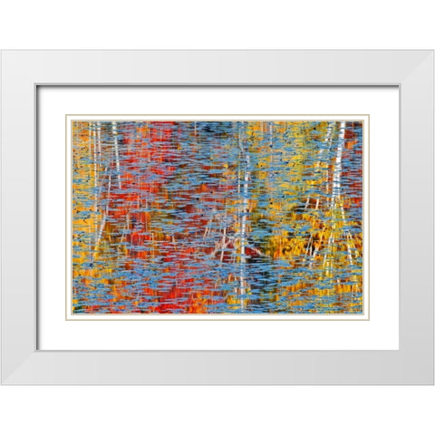 Canada, Ontario, Minden Autumn reflects in pond White Modern Wood Framed Art Print with Double Matting by Grandmaison, Mike