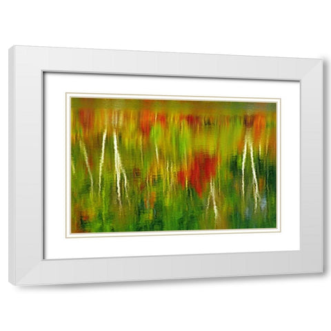 Canada Fall reflection in St Poithier Lake White Modern Wood Framed Art Print with Double Matting by Grandmaison, Mike