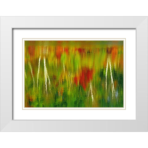 Canada Fall reflection in St Poithier Lake White Modern Wood Framed Art Print with Double Matting by Grandmaison, Mike