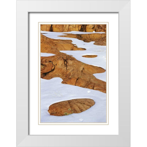 Canada, Killarney PP Animal tracks in snow White Modern Wood Framed Art Print with Double Matting by Grandmaison, Mike