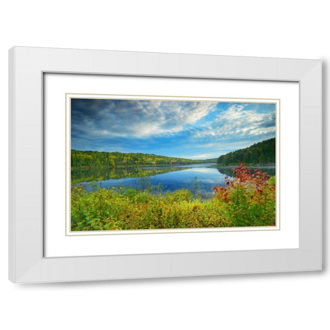 Canada, Algonquin PP Landscape of Costello Lake White Modern Wood Framed Art Print with Double Matting by Grandmaison, Mike