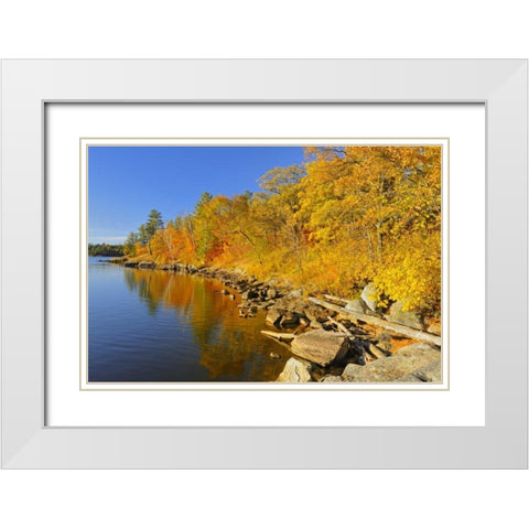Canada, Ontario, Autumn at Lake of the Woods White Modern Wood Framed Art Print with Double Matting by Grandmaison, Mike