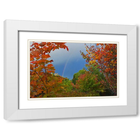 Canada, Ontario Rainbow and maples in autumn White Modern Wood Framed Art Print with Double Matting by Grandmaison, Mike