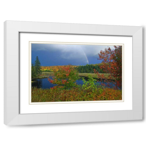 Canada, Ontario Rainbow and maples in autumn White Modern Wood Framed Art Print with Double Matting by Grandmaison, Mike