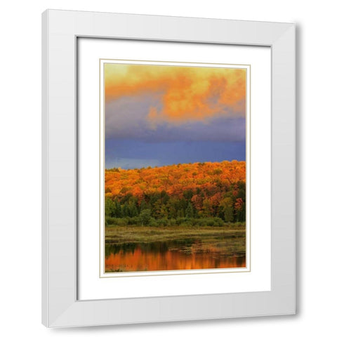 Canada, Ontario, Oxtongue Lake Sky and forest White Modern Wood Framed Art Print with Double Matting by Grandmaison, Mike