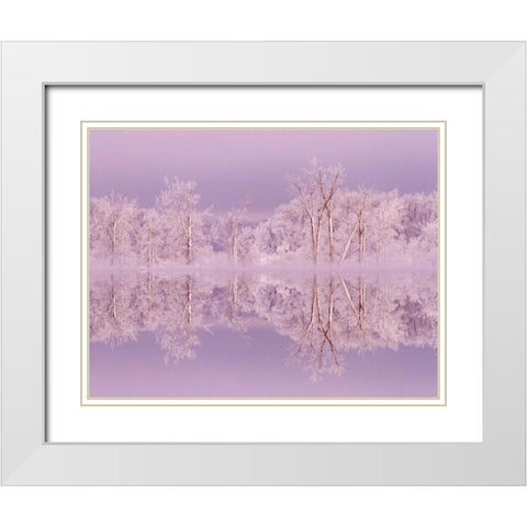 Canada, Ottawa Frosted trees by Shirleys Bay White Modern Wood Framed Art Print with Double Matting by Young, Bill