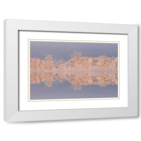 Canada, Ottawa Frosted trees by Shirleys Bay White Modern Wood Framed Art Print with Double Matting by Young, Bill