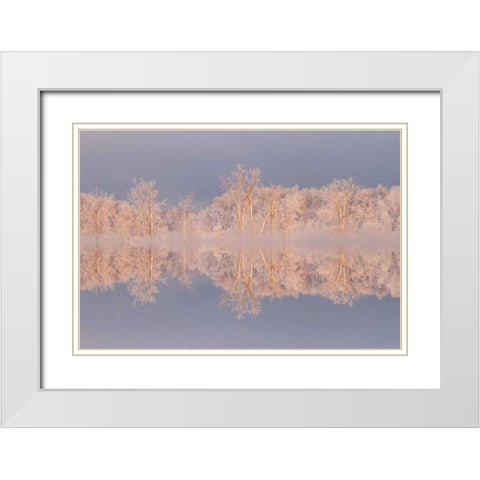Canada, Ottawa Frosted trees by Shirleys Bay White Modern Wood Framed Art Print with Double Matting by Young, Bill