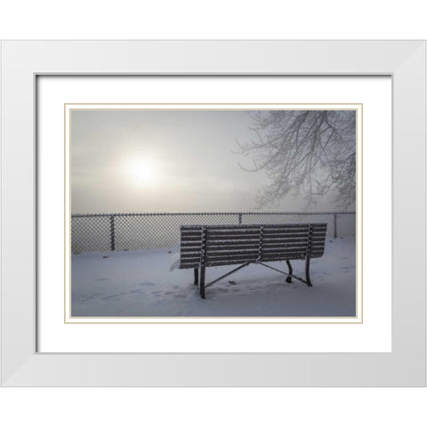 Canada, Ottawa Fog-shrouded winter scene White Modern Wood Framed Art Print with Double Matting by Young, Bill