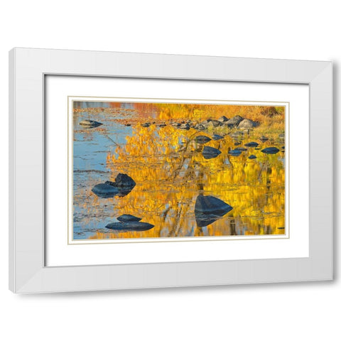 Canada-Ontario-Whitefish Autumn colors reflect in Vermilion River White Modern Wood Framed Art Print with Double Matting by Jaynes Gallery
