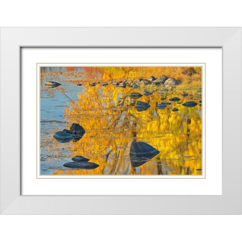 Canada-Ontario-Whitefish Autumn colors reflect in Vermilion River White Modern Wood Framed Art Print with Double Matting by Jaynes Gallery