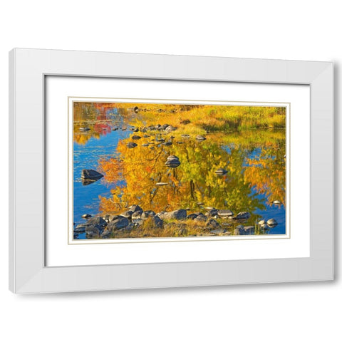Canada-Ontario-Whitefish Autumn colors reflect in Vermilion River White Modern Wood Framed Art Print with Double Matting by Jaynes Gallery