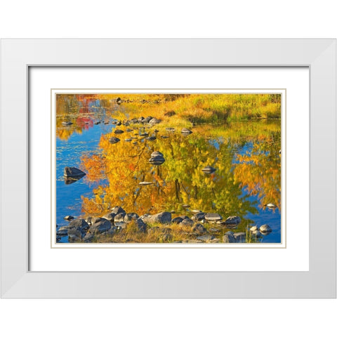 Canada-Ontario-Whitefish Autumn colors reflect in Vermilion River White Modern Wood Framed Art Print with Double Matting by Jaynes Gallery