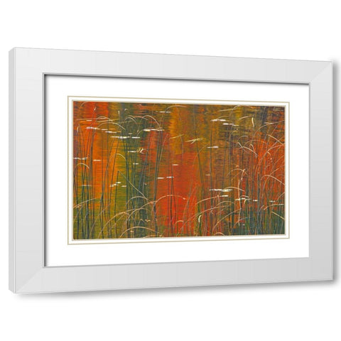 Canada-Ontario Reeds on Bunny Lake White Modern Wood Framed Art Print with Double Matting by Jaynes Gallery
