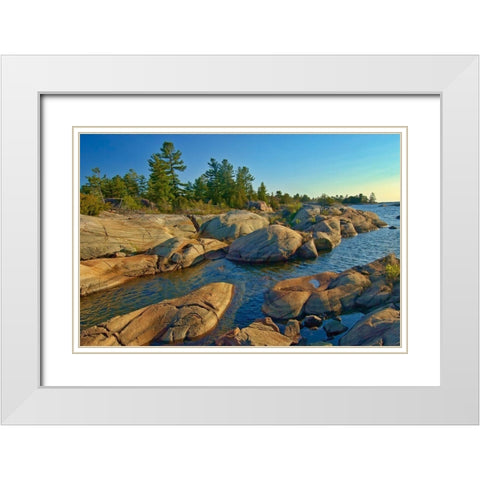 Canada-Ontario-Honey Harbour Trees on Precambrian shield rock White Modern Wood Framed Art Print with Double Matting by Jaynes Gallery