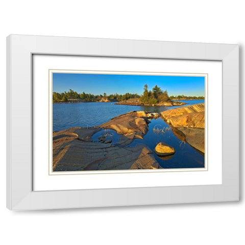 Canada-Ontario-Honey Harbour White pine tree on Precambrian shield rock White Modern Wood Framed Art Print with Double Matting by Jaynes Gallery