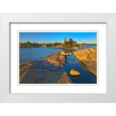 Canada-Ontario-Honey Harbour White pine tree on Precambrian shield rock White Modern Wood Framed Art Print with Double Matting by Jaynes Gallery