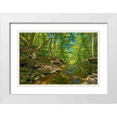 Canada-Ontario-Jordan 16 Mile Creek at Louth Falls White Modern Wood Framed Art Print with Double Matting by Jaynes Gallery