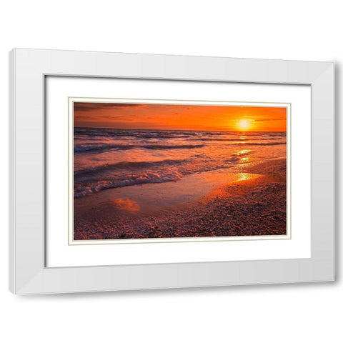 Canada-Ontario-Sandbanks Provincial Park-Waves on Lake Ontario beach at sunset White Modern Wood Framed Art Print with Double Matting by Jaynes Gallery