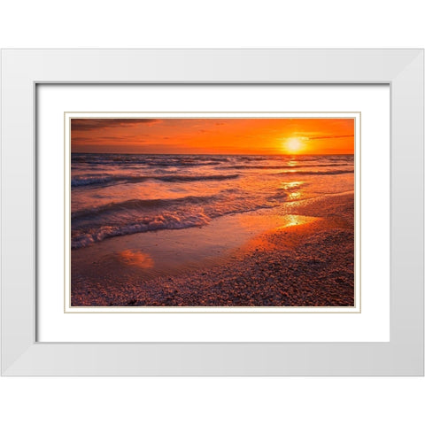 Canada-Ontario-Sandbanks Provincial Park-Waves on Lake Ontario beach at sunset White Modern Wood Framed Art Print with Double Matting by Jaynes Gallery