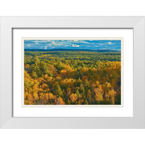 Canada-Ontario-Neebing County Forest in autumn White Modern Wood Framed Art Print with Double Matting by Jaynes Gallery