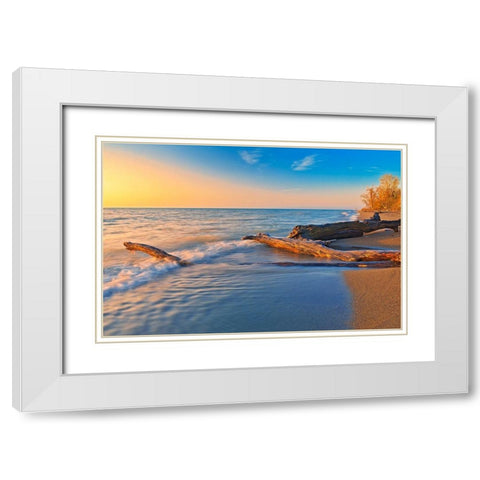 Canada-Ontario-Point Pelee National Park Driftwood on Lake Erie shoreline at sunrise White Modern Wood Framed Art Print with Double Matting by Jaynes Gallery