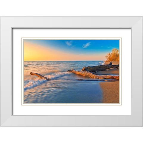 Canada-Ontario-Point Pelee National Park Driftwood on Lake Erie shoreline at sunrise White Modern Wood Framed Art Print with Double Matting by Jaynes Gallery