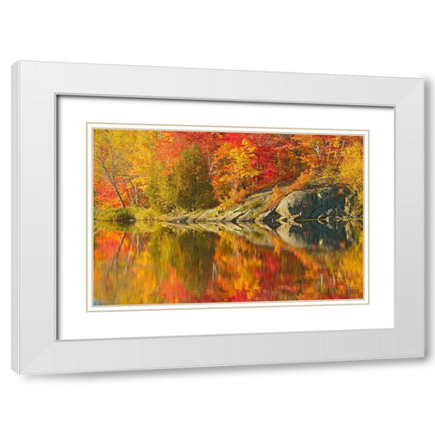 Canada-Ontario-Simon Lake Park Conservation Area Forest and rock reflected in Simon Lake White Modern Wood Framed Art Print with Double Matting by Jaynes Gallery