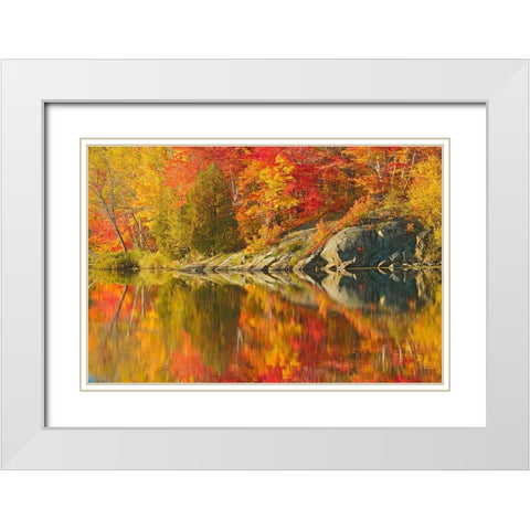 Canada-Ontario-Simon Lake Park Conservation Area Forest and rock reflected in Simon Lake White Modern Wood Framed Art Print with Double Matting by Jaynes Gallery