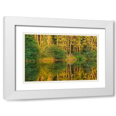 Canada-Ontario Sunset on forest reflected in lake White Modern Wood Framed Art Print with Double Matting by Jaynes Gallery
