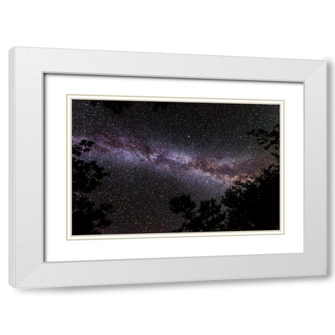 Canada-Ontario-Sioux Narrows Provincial Park-Night sky with Milky Way White Modern Wood Framed Art Print with Double Matting by Jaynes Gallery