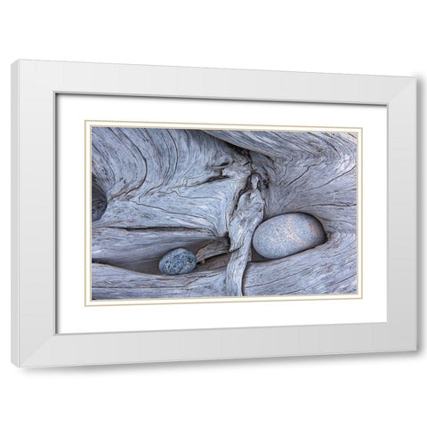 Canada-Ontario-Marathon Rocks in driftwood on Pebble Beach White Modern Wood Framed Art Print with Double Matting by Jaynes Gallery
