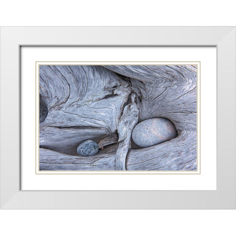 Canada-Ontario-Marathon Rocks in driftwood on Pebble Beach White Modern Wood Framed Art Print with Double Matting by Jaynes Gallery