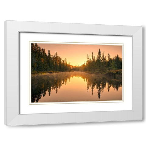 Canada-Ontario-Lake Superior Provincial Park Sunrise forest reflection in waterway White Modern Wood Framed Art Print with Double Matting by Jaynes Gallery