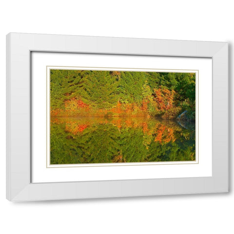Canada-Ontario-Sudbury Autumn colors reflect in Lake Laurentian at sunrise White Modern Wood Framed Art Print with Double Matting by Jaynes Gallery