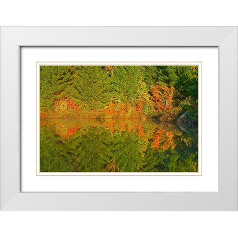 Canada-Ontario-Sudbury Autumn colors reflect in Lake Laurentian at sunrise White Modern Wood Framed Art Print with Double Matting by Jaynes Gallery